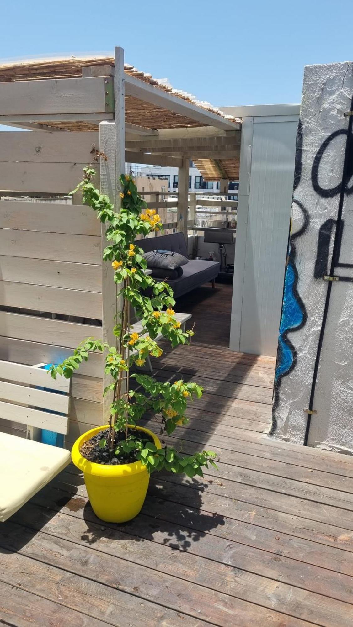 Apartment Fellini Of The Spirit-tlv