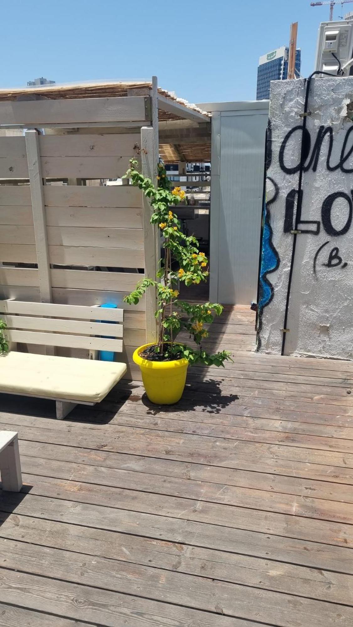 Apartment Fellini Of The Spirit-tlv *